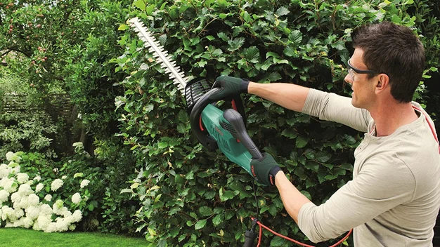 The best hedge trimmers